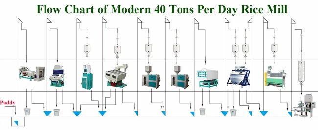 40 tpd rice sheller plant cost